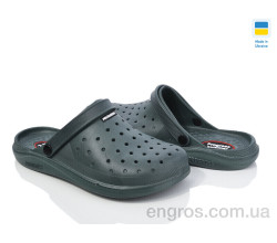 Кроксы Golden Lion